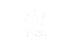 logo cheval-liberte
