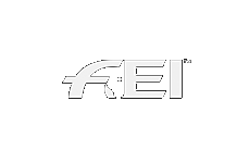 logo fei