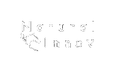 logo natural-innov