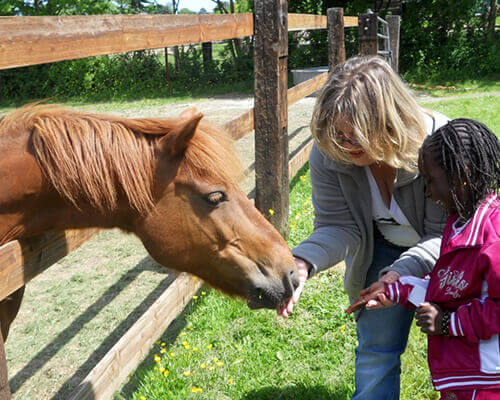 équi-normandie poney-club