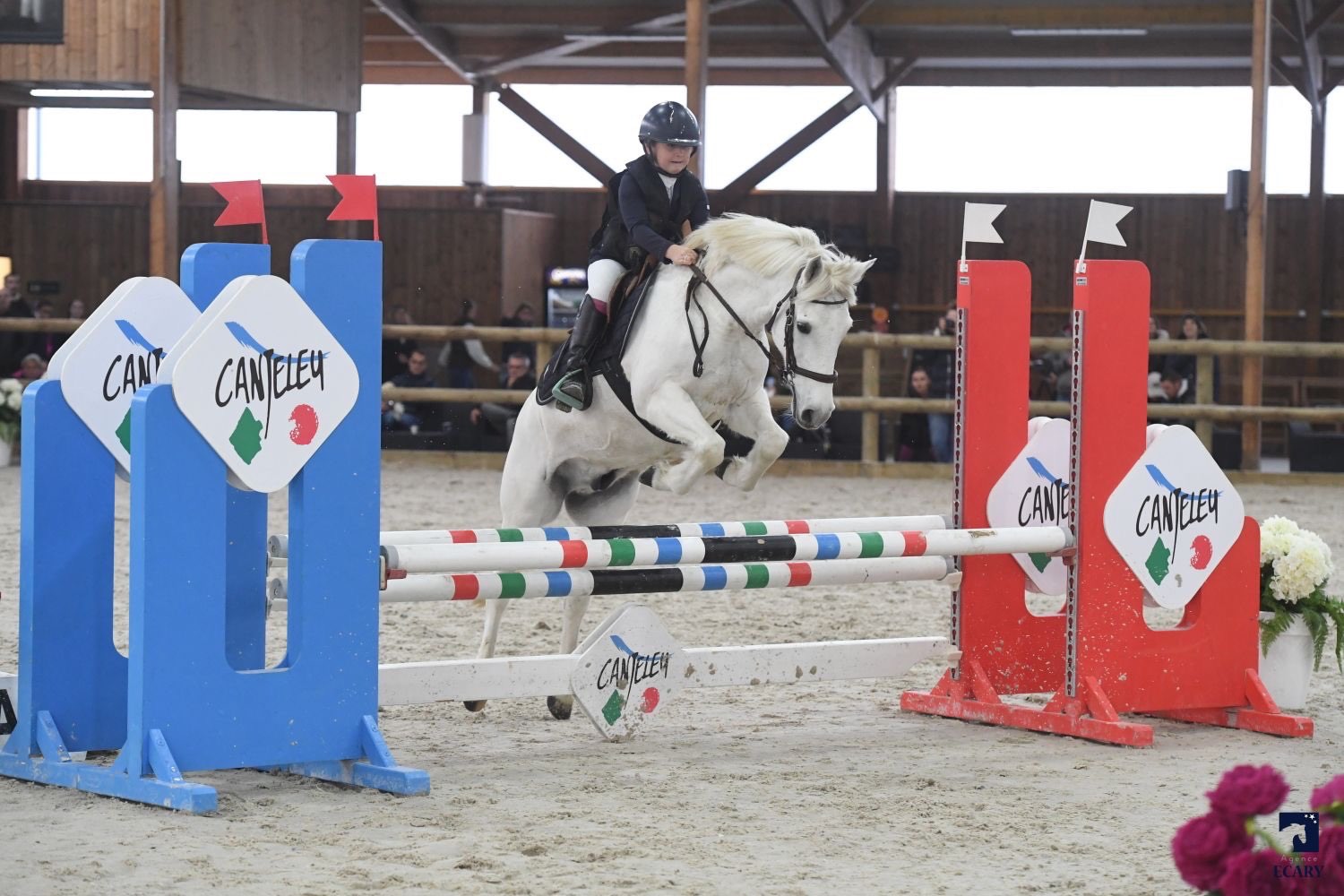 équi-normandie Club / Poney Février