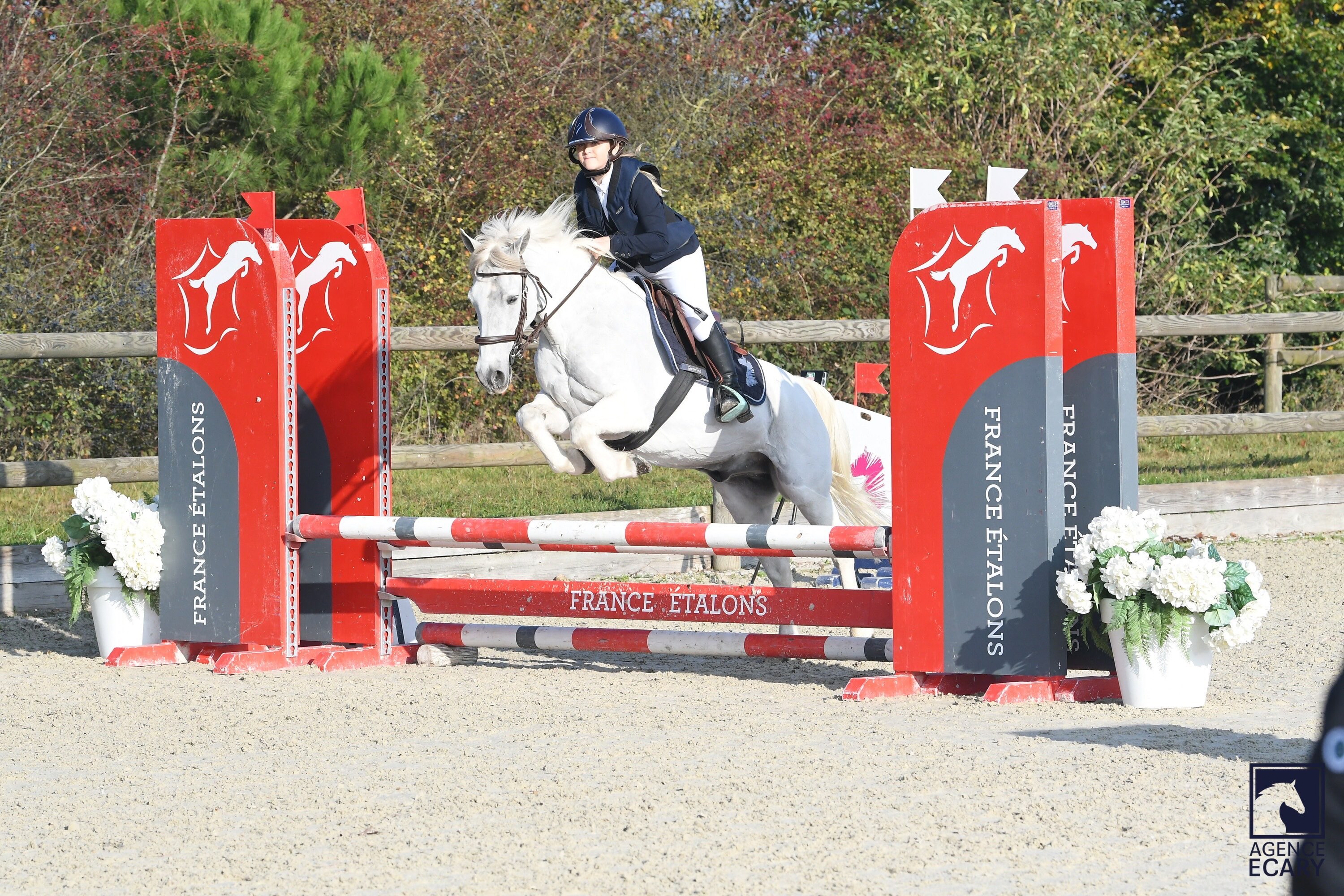équi-normandie Championnat Départemental de Seine Maritime - CSO - Club & Poney 