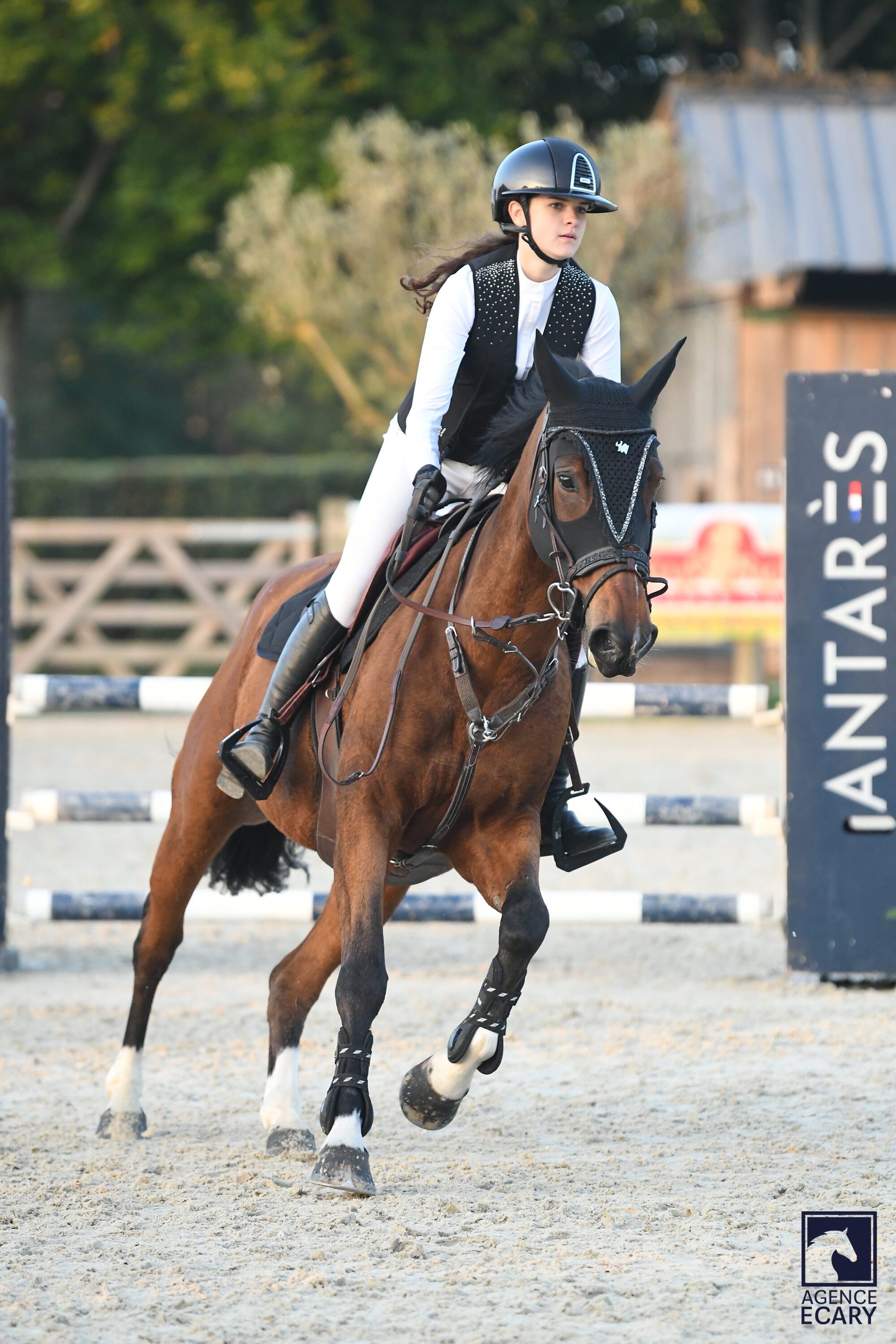 équi-normandie Grand Régional Hunter