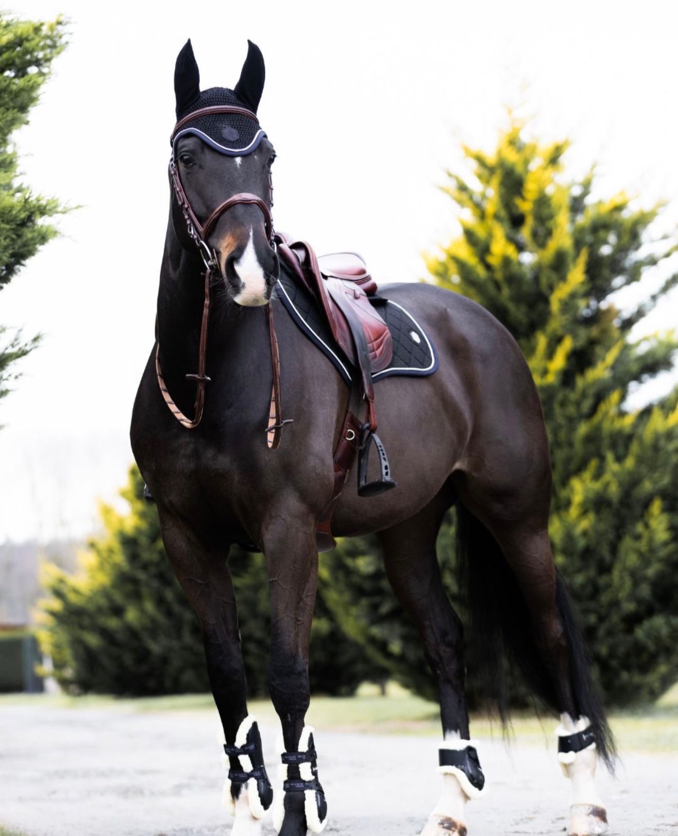 équi-normandie Harcour Pro - Étape 2